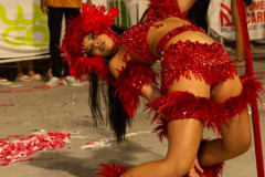 MG_0604_impressao