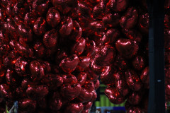 IMG_1803